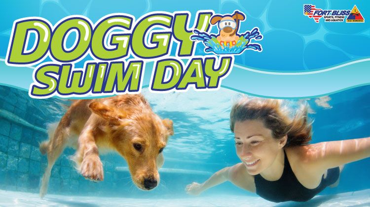 Doggy Swim Day!