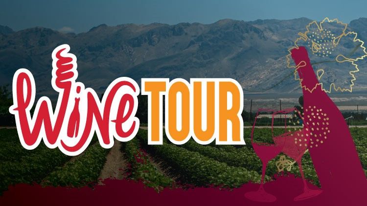 Wine Tour